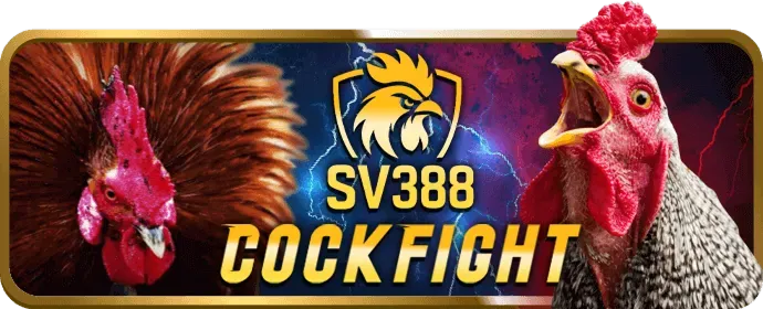Cấp độ VIP Bạch Kim của vndwin code